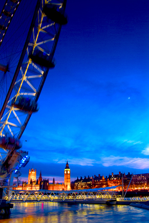 Will Dolphin photography